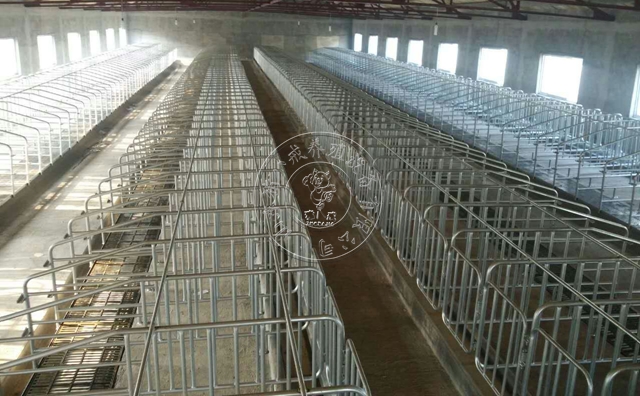 母猪产床正确使用方法,母猪产床怎么护理