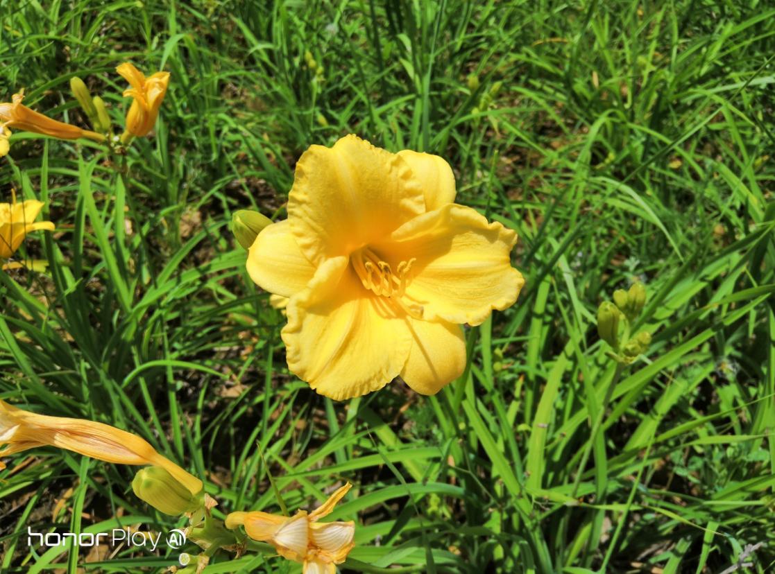 最实用的千元机荣耀play,荣耀play适合玩哪6款游戏