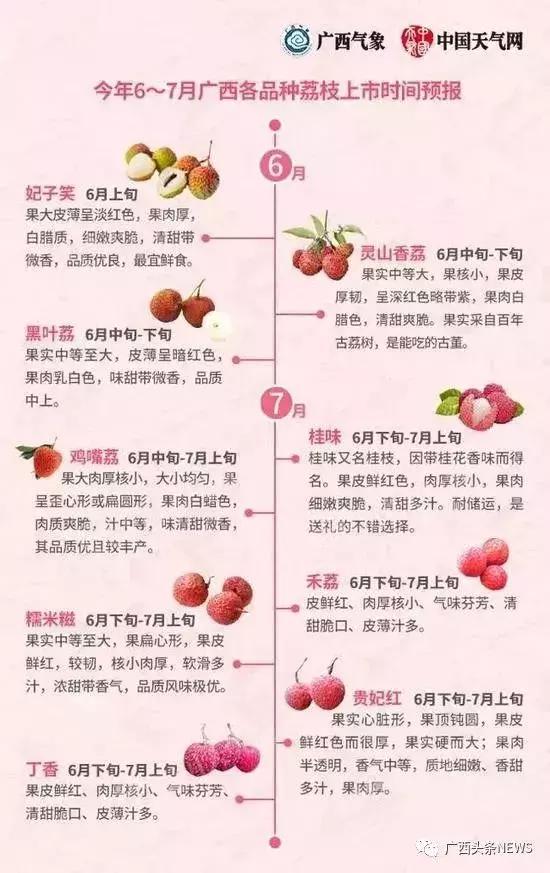 广西荔枝现在情况,广西荔枝最新情况