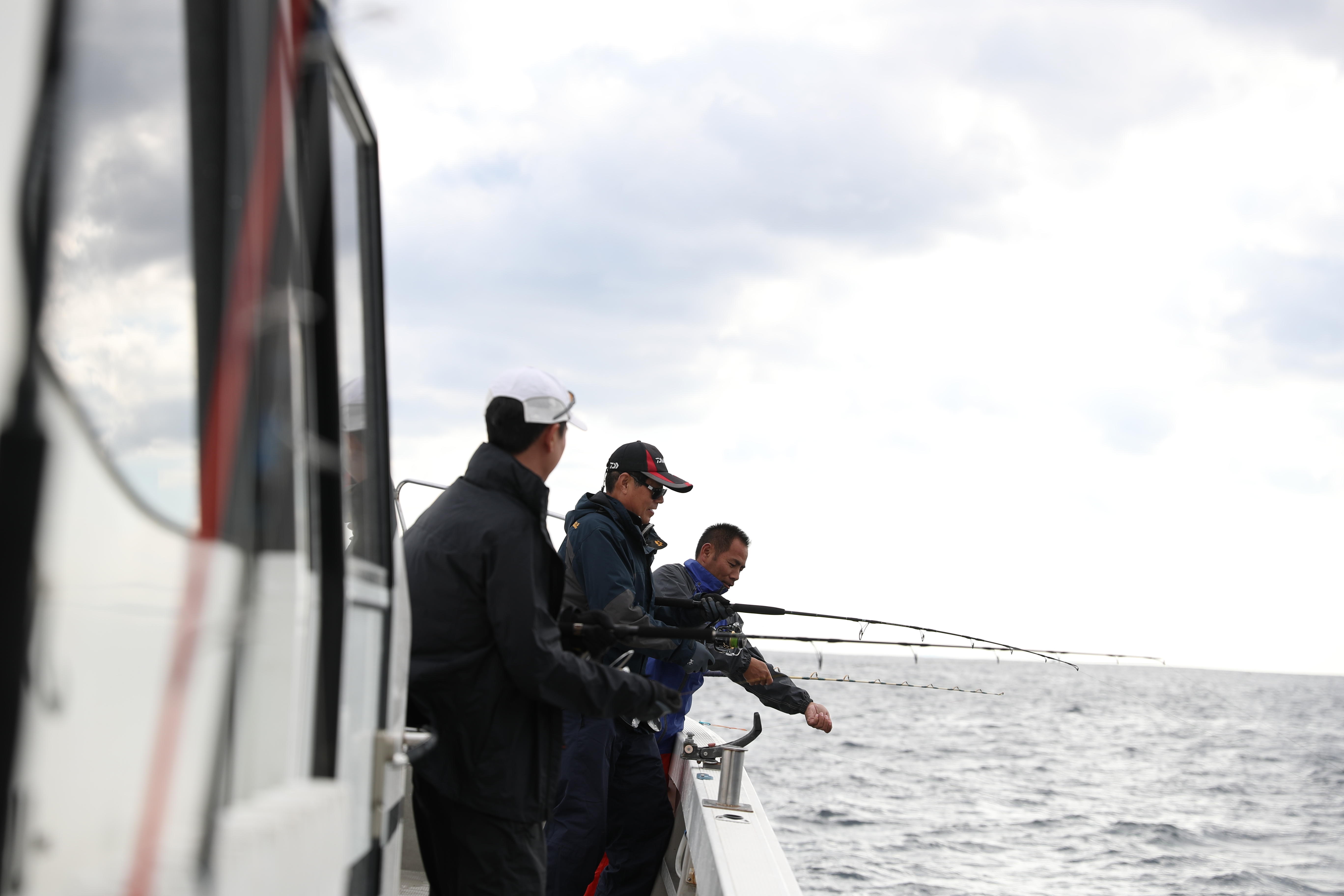 日本海域发现的奇特生物,日本海域漂浮着巨型海洋生物