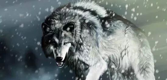 草原马背上的守护者,草原雄鹰的守护神