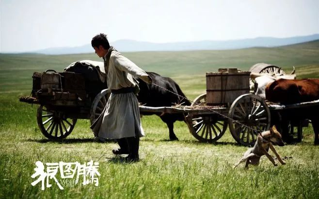 草原马背上的守护者,草原雄鹰的守护神