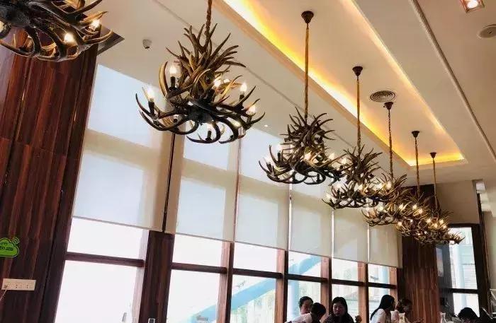 说起东莞的人气菜馆，这几家你得尝尝！