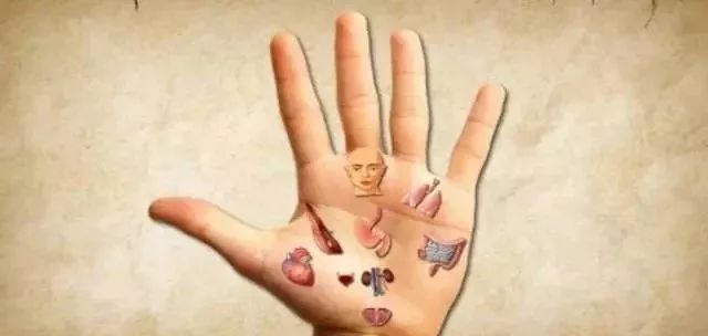 手健康有多重要,手型看健康