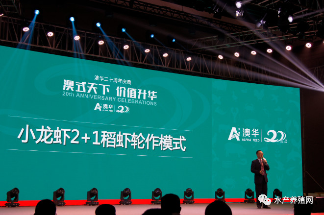 澳华总裁,澳华集团董事长许愿斌