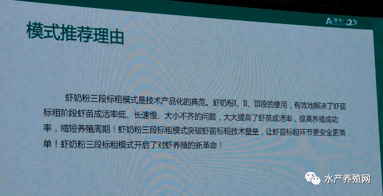 澳华总裁,澳华集团董事长许愿斌