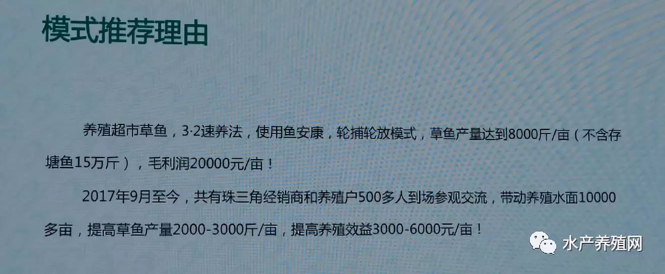 澳华总裁,澳华集团董事长许愿斌