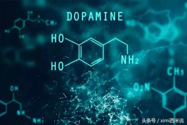 世界杯越来越没意思,世界杯没意义