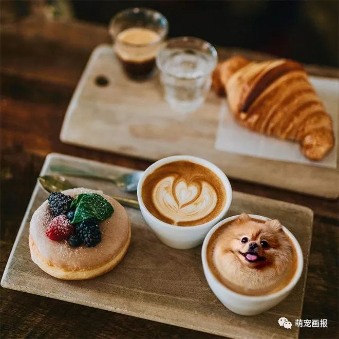 可以吃的汪星人：摄影师把狗狗和美食结合在在一起
