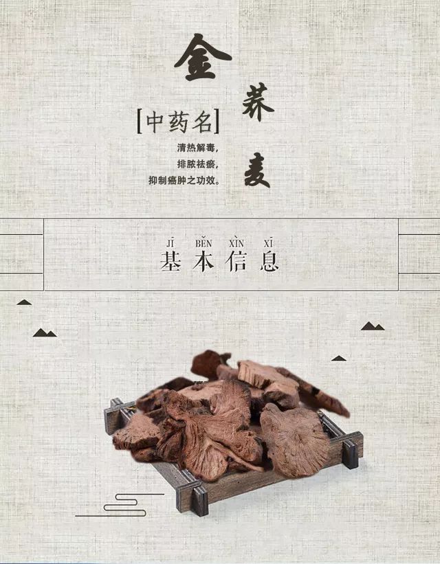 百草园有什么药草,百草园里面都有什么草