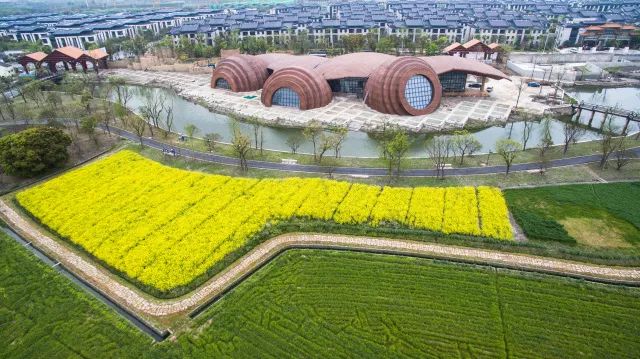 广富林遗址预约门票多少钱,小松探园门票