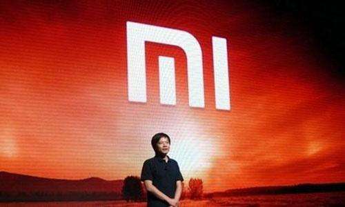 小米招股未解之谜,小米招股书划重点