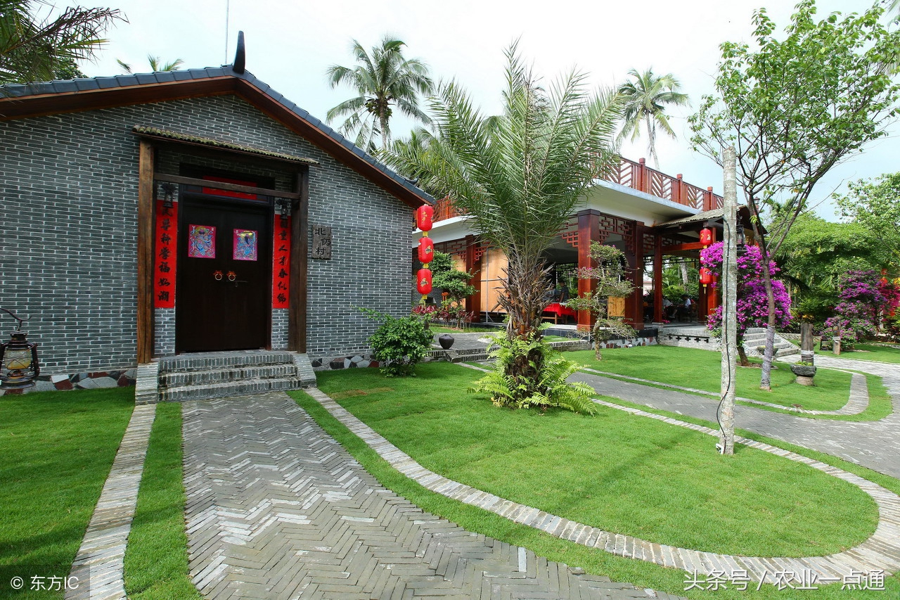 2018年6月开始，农村致富的5个好项目，农民朋友必须了解