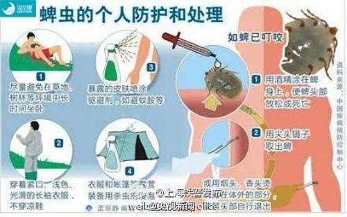 夏季蜱虫病进入高发期,夏季蜱虫多吗