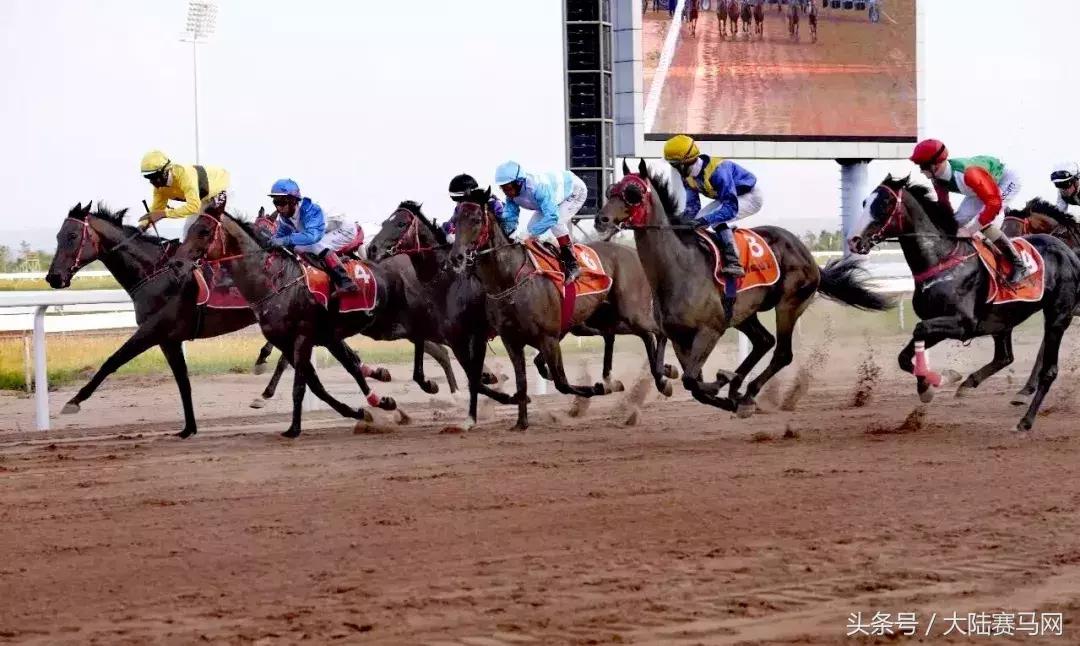 伊泰大漠鄂尔多斯金杯赛火爆来袭！开启“三杯一节”品牌赛马序幕