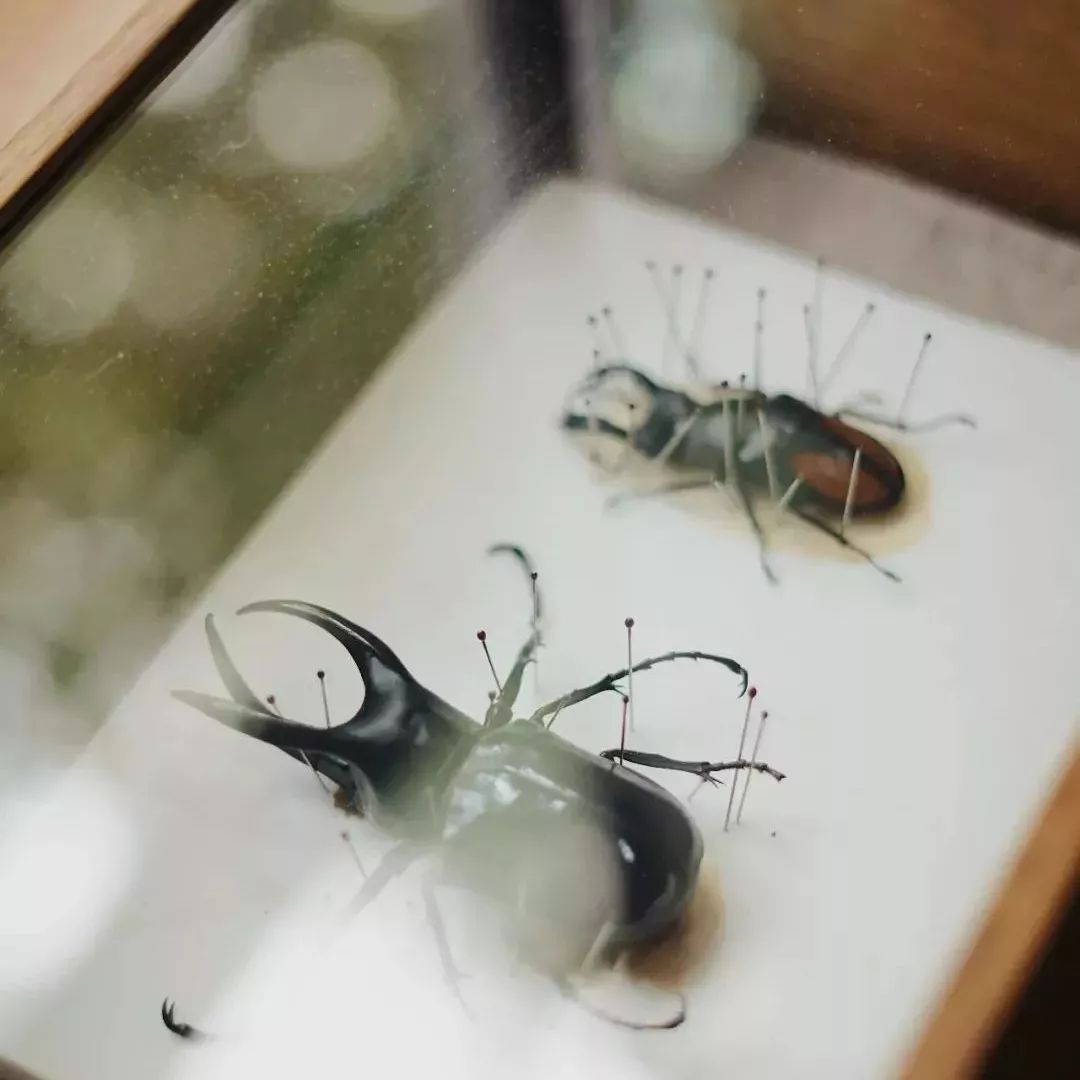 西溪湿地值得去的地方,逛腻了身边的景点周边游