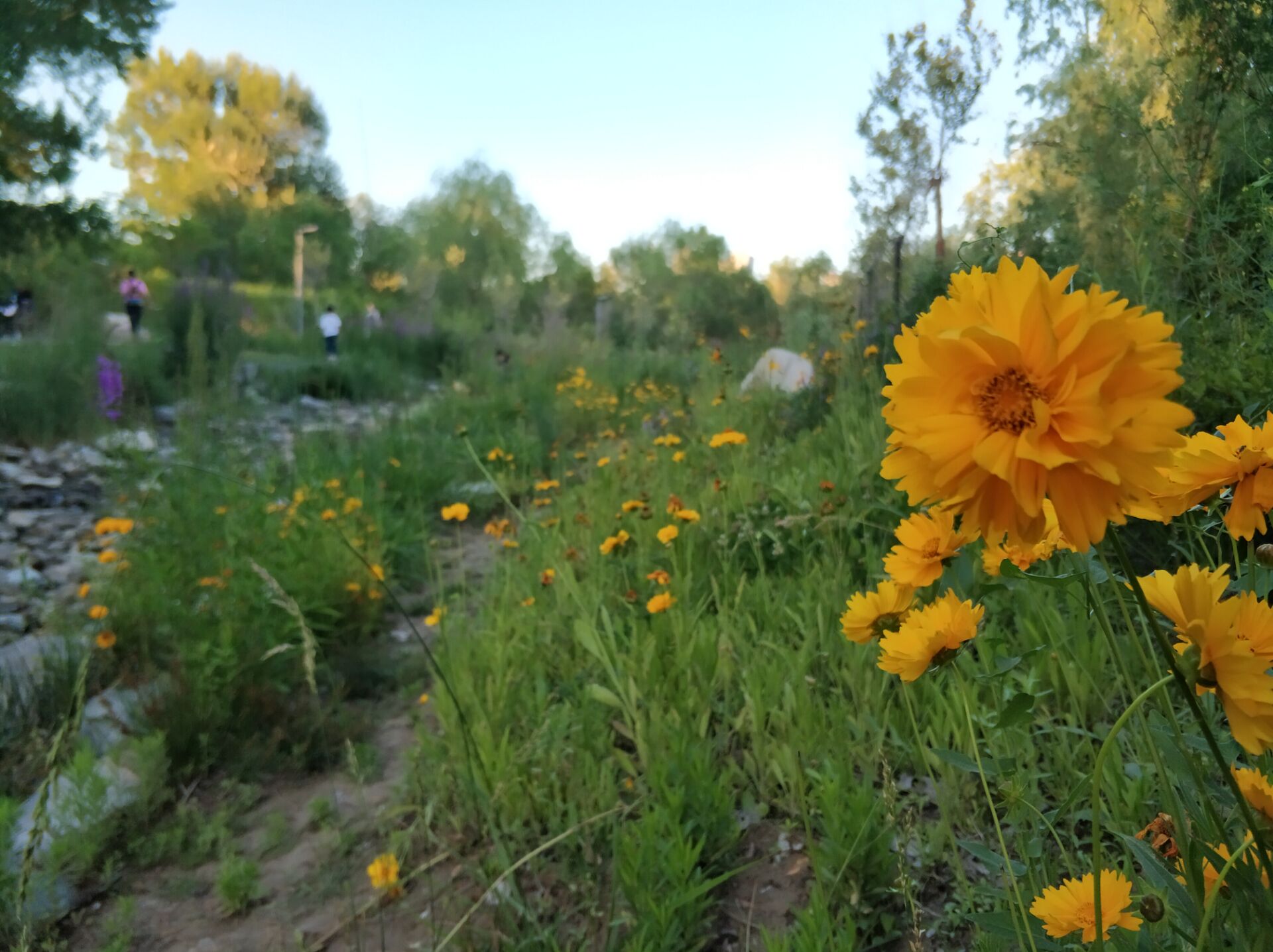 乌鲁木齐南湖美景图,乌鲁木齐南湖公园景区美图