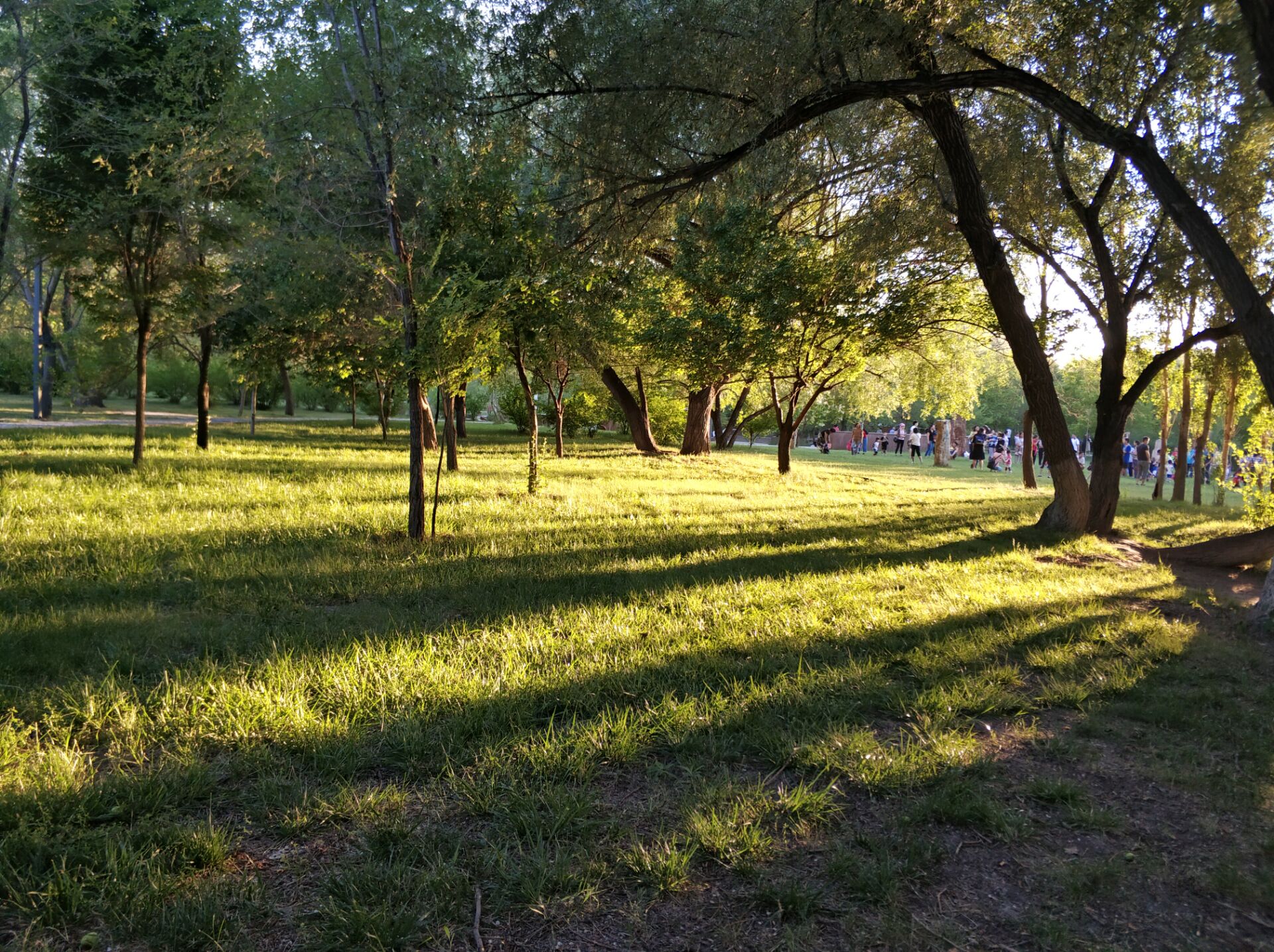 乌鲁木齐南湖公园夜景,乌鲁木齐南湖广场美景图片