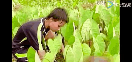 中国足球被骂的球员合集,盘点中国足球被骂