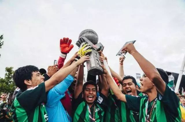 世界杯你们输了多少,世界杯你们赢了多少