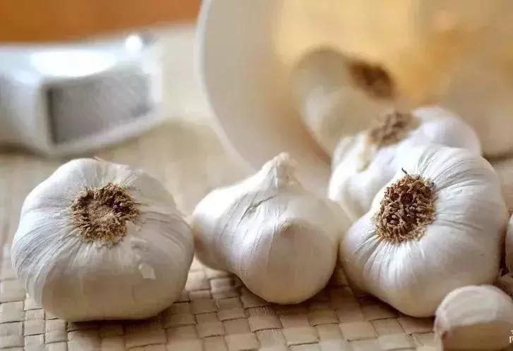 被毒性大的蚊子咬了怎么办,被蚊子咬了不要抓会怎么样