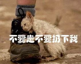 当世界杯遇到东北话,当世界杯遇到土味配音