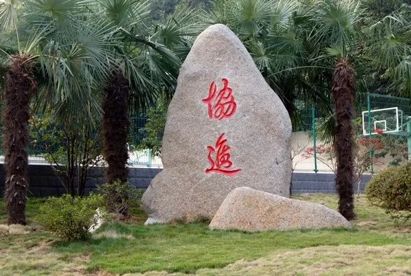 回忆我在南京的日常,在南京上学的感觉