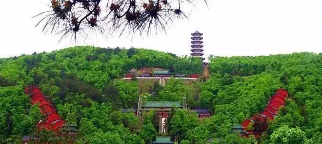 西峡网红打卡地吃饭 (南阳网红打卡地西峡)