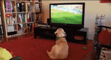 7到9岁的孩子怎么培养足球兴趣,培养孩子踢球足球篮球