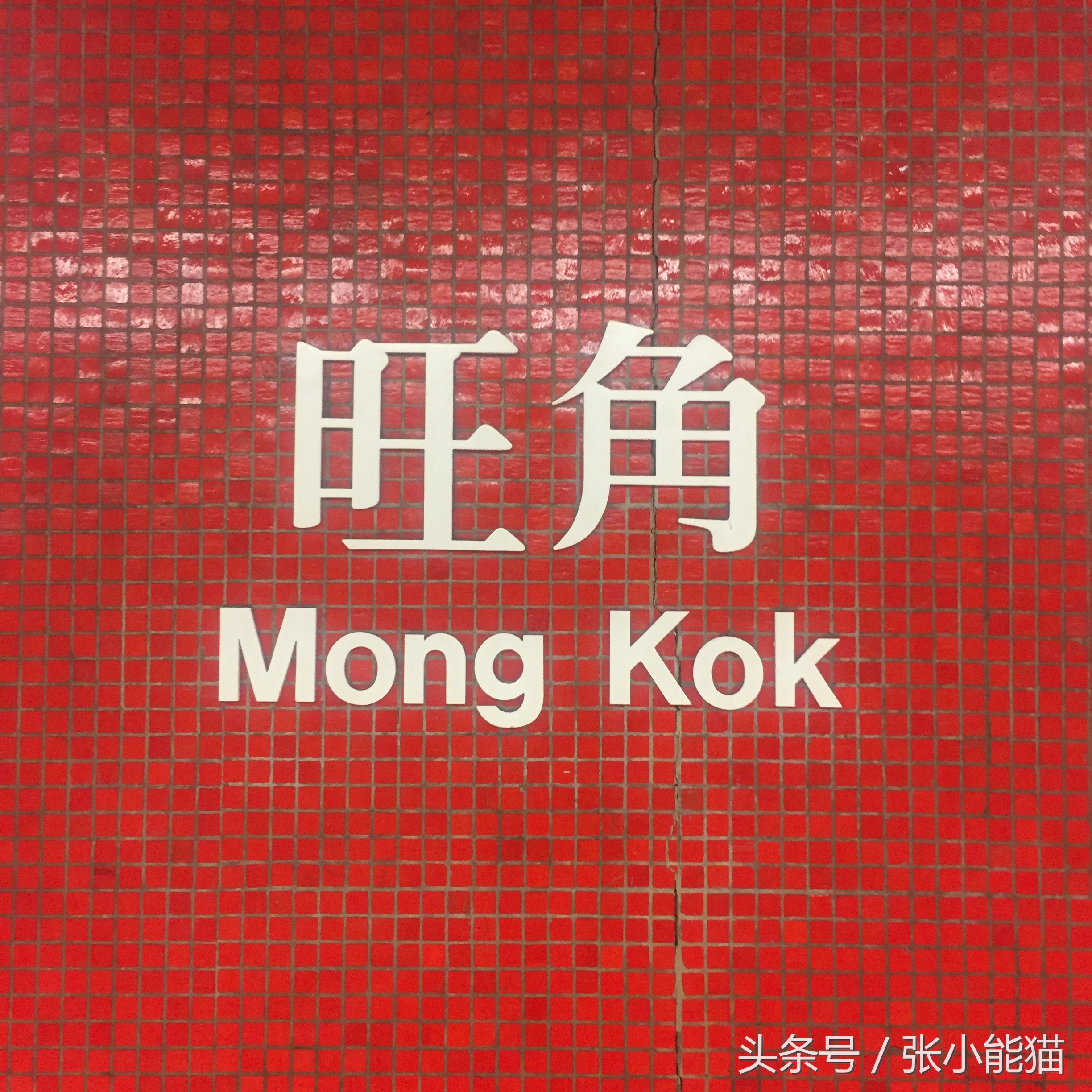 香港打hpv疫苗全过程,香港hpv疫苗有两个针