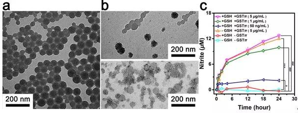 AdvMat封面:华东理工大学NO纳米药物实现高效低毒癌症治疗