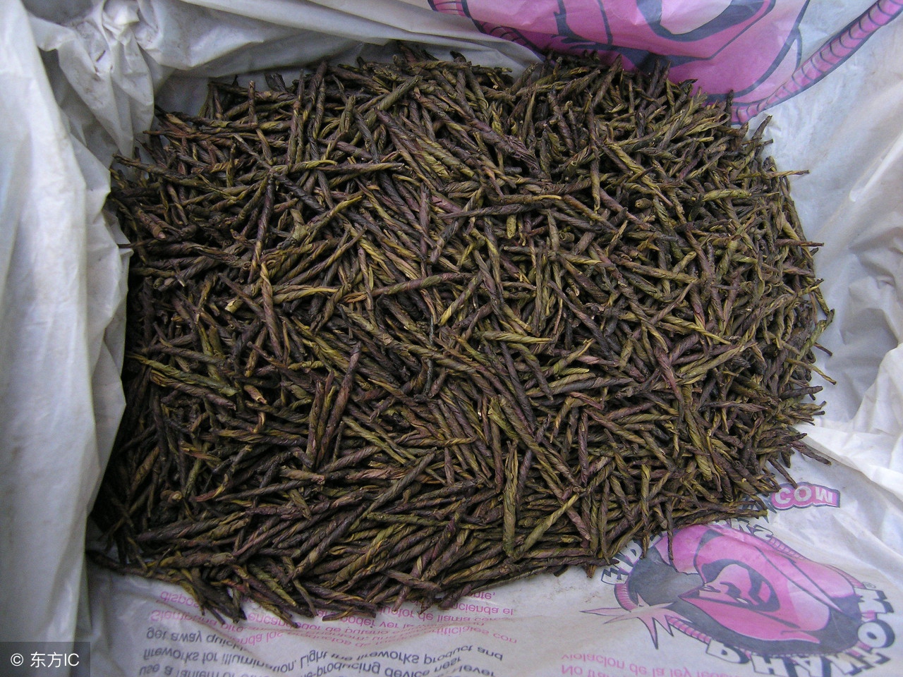 这茶全年可采，制茶简单，喝它告别降压药，应用广泛，种植有钱途