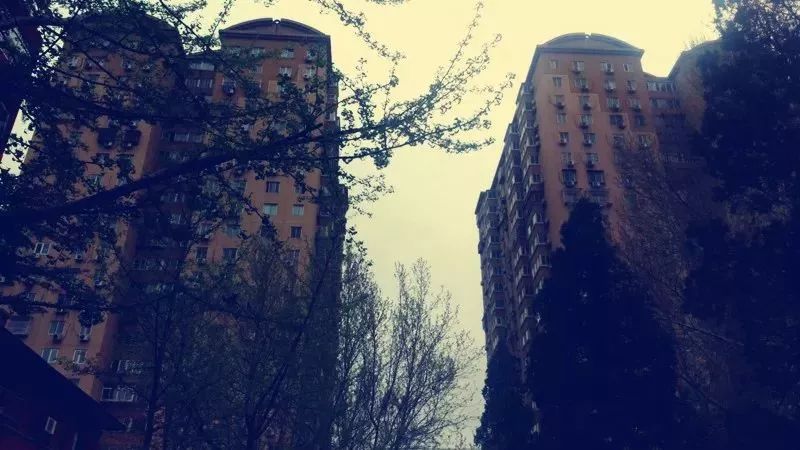 住在东八里庄，曾经很骄傲！现在更骄傲，因为……