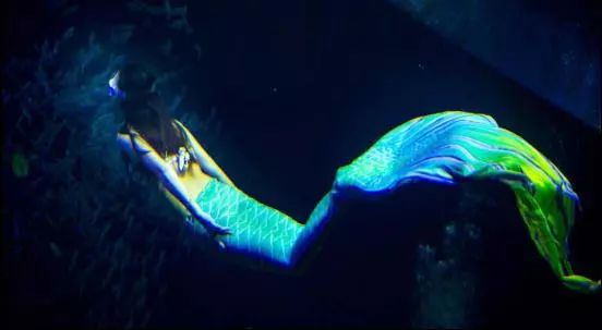 包头海洋世界免费景点,包头海洋动物海底世界门票