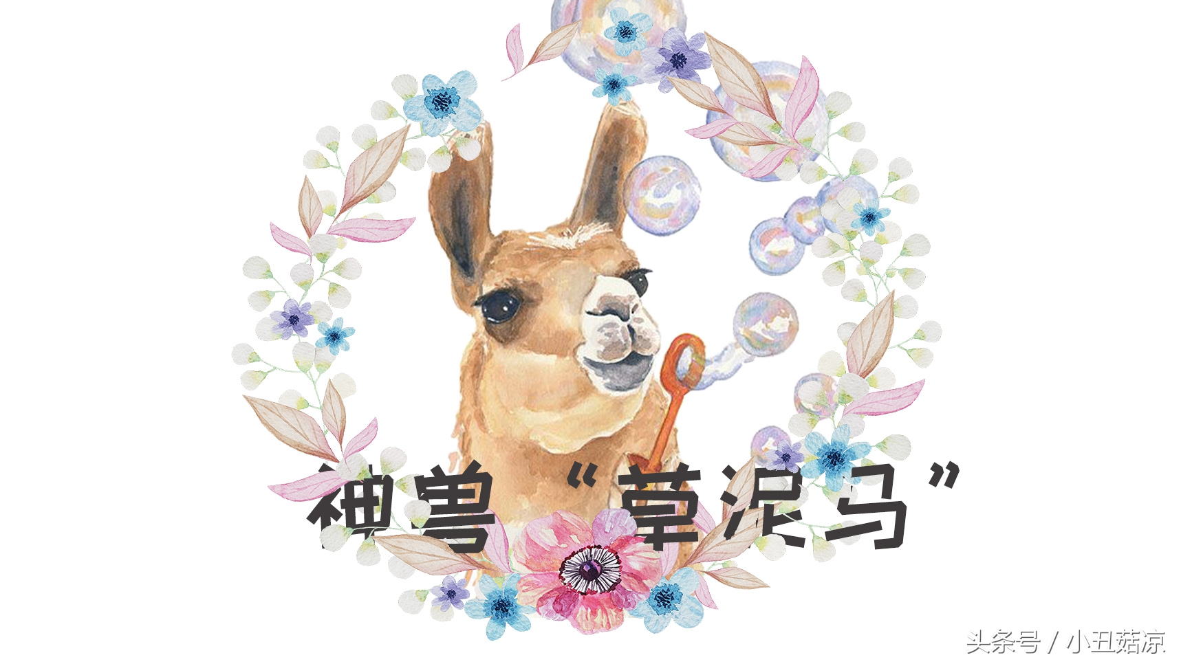 前方高能！疯狂动物城有猛兽出没，请保管好自己的小心脏！