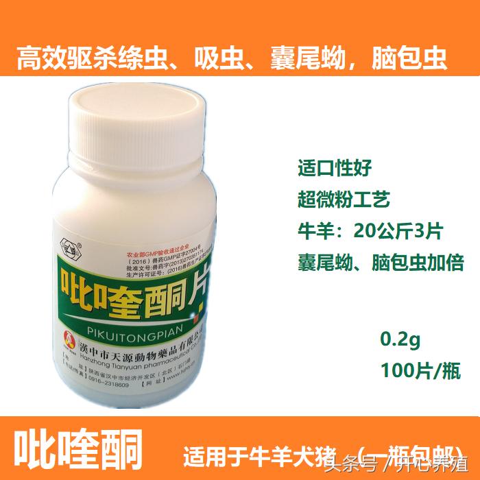 养殖羊常见的寄生虫,养羊技术羊寄生虫病的预防