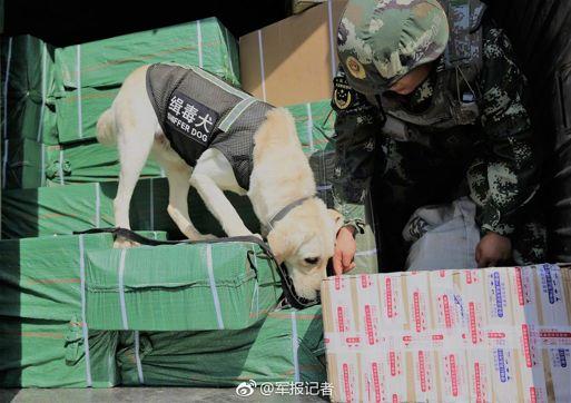 中国毒情形势报告发布,中国毒品形势报告2014