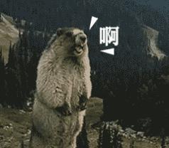 天天11点才入睡,天天11点睡对身体好吗