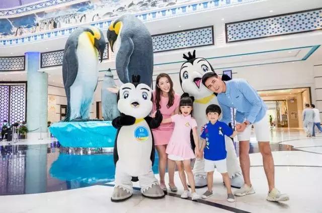 珠海海洋王国性价比最高的酒店,珠海海洋王国几家酒店