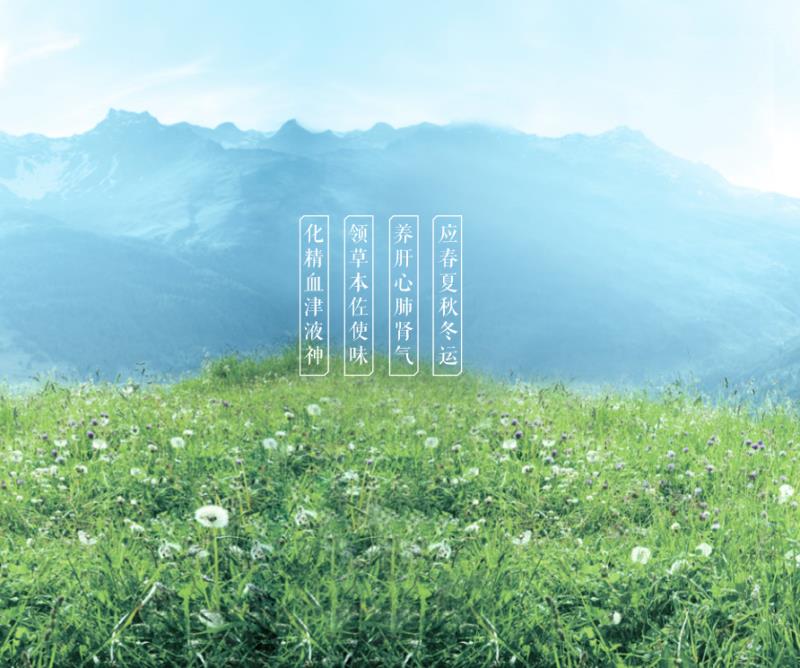 撒盐哥餐厅哪道菜最好,撒盐哥餐厅属于几星级