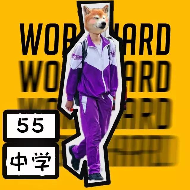 天津各学区的校服,天津市各个学校校服