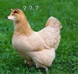 男生对化妆的理解,男生对化妆的理解照片