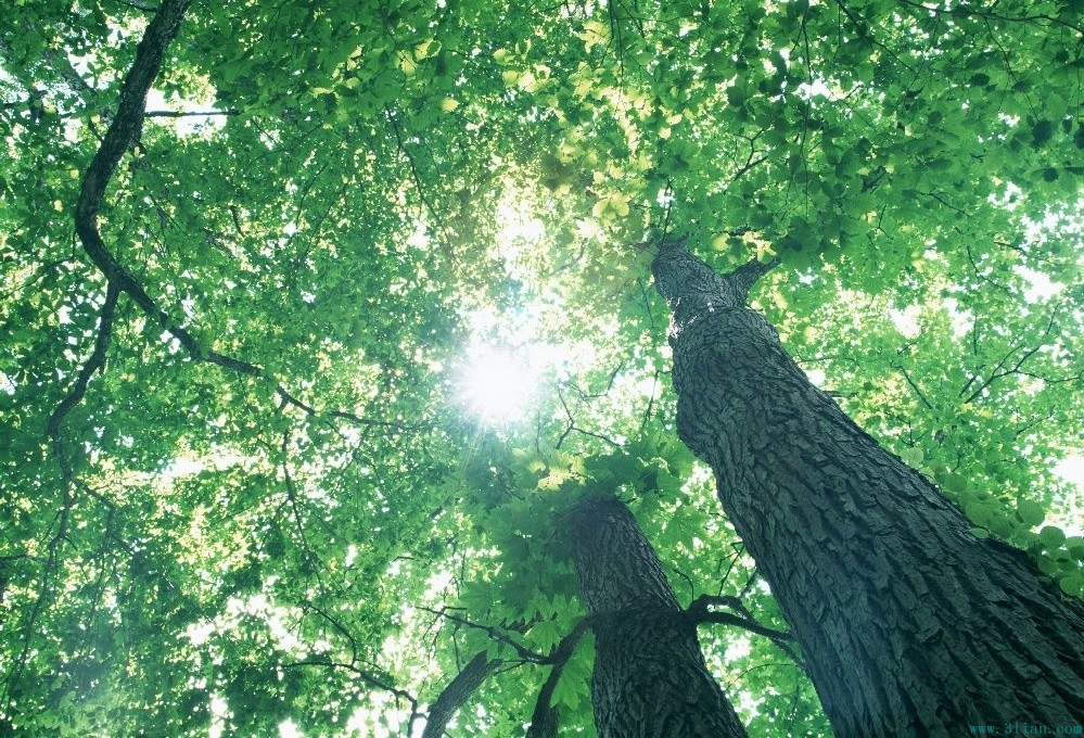 双手交叉怎么看性格,怎样看待我们的感情