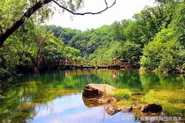 梨木台古树农家院,蓟县梨木台兴业缘农家院