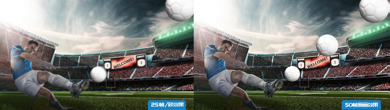 菜鸡互啄动图,菜鸡互啄短视频