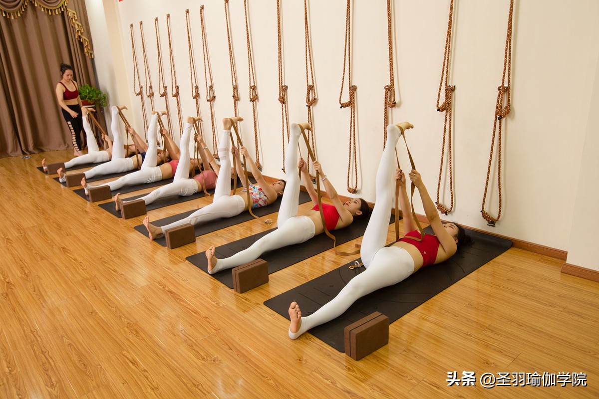 零基础学瑜伽教练需要多长时间,零基础学瑜伽教练哪家专业