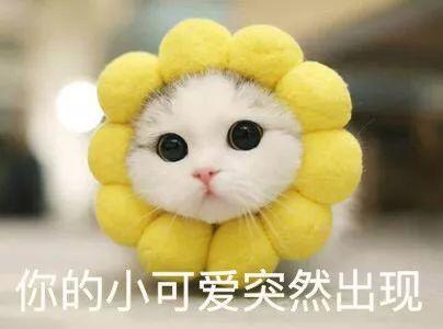 晚上睡的香，白天倍儿精神，这些生活小物拯救你～