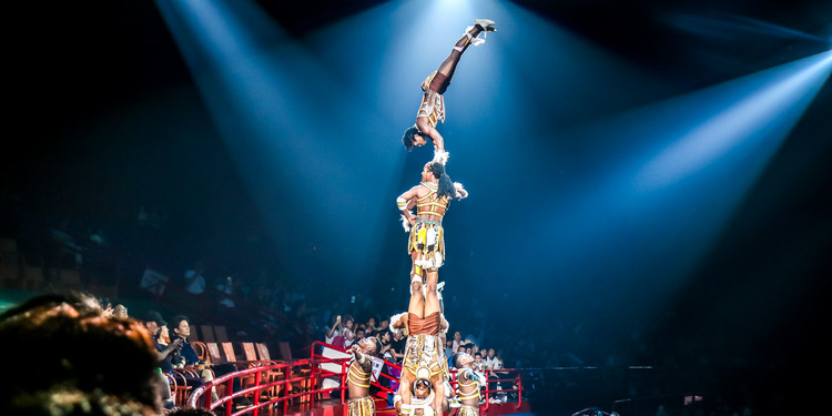 长隆大马戏飞鸟乐园,长隆梦幻大马戏儿童乐园