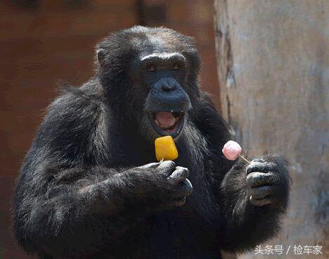 原版原漆4s店能做到吗,4s店买到补漆车半年了怎么办