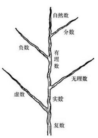 数学的变化与进化,数的演化过程数学史